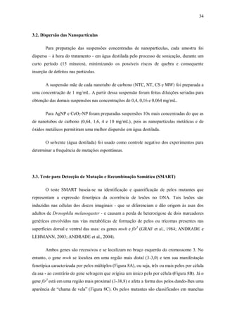 34
3.2. Dispersão das Nanopartículas
Para preparação das suspensões concentradas de nanopartículas, cada amostra foi
dispersa – à hora do tratamento - em água destilada pelo processo de sonicação, durante um
curto período (15 minutos), minimizando os possíveis riscos de quebra e consequente
inserção de defeitos nas partículas.
A suspensão mãe de cada nanotubo de carbono (NTC, NT, CS e MW) foi preparada a
uma concentração de 1 mg/mL. A partir dessa suspensão foram feitas diluições seriadas para
obtenção das demais suspensões nas concentrações de 0,4, 0,16 e 0,064 mg/mL.
Para AgNP e CeO2-NP foram preparadas suspensões 10x mais concentradas do que as
de nanotubos de carbono (0,64, 1,6, 4 e 10 mg/mL), pois as nanopartículas metálicas e de
óxidos metálicos permitiram uma melhor dispersão em água destilada.
O solvente (água destilada) foi usado como controle negativo dos experimentos para
determinar a frequência de mutações espontâneas.
3.3. Teste para Detecção de Mutação e Recombinação Somática (SMART)
O teste SMART baseia-se na identificação e quantificação de pelos mutantes que
representam a expressão fenotípica da ocorrência de lesões no DNA. Tais lesões são
induzidas nas células dos discos imaginais - que se diferenciam e dão origem às asas dos
adultos de Drosophila melanogaster - e causam a perda de heterozigose de dois marcadores
genéticos envolvidos nas vias metabólicas de formação de pelos ou tricomas presentes nas
superfícies dorsal e ventral das asas: os genes mwh e flr3
(GRAF et al., 1984; ANDRADE e
LEHMANN, 2003; ANDRADE et al., 2004).
Ambos genes são recessivos e se localizam no braço esquerdo do cromossomo 3. No
entanto, o gene mwh se localiza em uma região mais distal (3-3,0) e tem sua manifestação
fenotípica caracterizada por pelos múltiplos (Figura 8A), ou seja, três ou mais pelos por célula
da asa - ao contrário do gene selvagem que origina um único pelo por célula (Figura 8B). Já o
gene flr3
está em uma região mais proximal (3-38,8) e afeta a forma dos pelos dando-lhes uma
aparência de “chama de vela” (Figura 8C). Os pelos mutantes são classificados em manchas
 