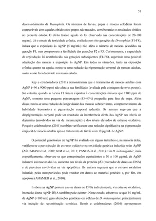 51
desenvolvimento da Drosophila. Os números de larvas, pupas e moscas eclodidas foram
comparáveis com aqueles obtidos nos grupos não tratados, corroborando os resultados obtidos
no presente estudo. O efeito tóxico agudo só foi observado nas concentrações de 20-100
mg/mL. Já o ensaio de toxicidade crônica, avaliada por oito gerações de Drosophila (F1-F8),
indica que a exposição às AgNP (5 mg/mL) não afeta o número de moscas eclodidas na
geração F1, mas compromete a fertilidade das gerações F2 e F3. Curiosamente, a capacidade
de reprodução foi restabelecida nas gerações subsequentes (F4-F8), sugerindo uma possível
adaptação das moscas a exposição às AgNP. Em todas as situações, tanto na exposição
crônica quanto na aguda, notou-se uma redução da pigmentação corporal de moscas adultas,
assim como foi observado em nosso estudo.
Key e colaboradores (2011) demonstraram que o tratamento de moscas adultas com
AgNP (~90 a 9000 ppm) não afeta a sua fertilidade (avaliada pela contagem de ovos postos).
No entanto, quando as larvas F1 foram expostas à concentrações maiores que 1800 ppm de
AgNP, somente uma pequena porcentagem (13-40%) progrediu para fase de pupa. Além
disso, notou-se uma redução da longevidade das moscas sobreviventes, comprometimento da
habilidade locomotora e pigmentação corporal reduzida. Os autores sugerem que a
despigmentação corporal pode ser resultado da interferência direta das AgNP nos níveis de
dopamina (envolvidos na via de melanização) e dos níveis elevados de estresse oxidativo.
Posgai e colaboradores (2011) também verificaram uma redução significativa na pigmentação
corporal de moscas adultas após o tratamento de larvas com 30 µg/mL de AgNP.
O potencial genotóxico de AgNP foi avaliado em alguns trabalhos e, na maioria deles,
verificou-se a participação do estresse oxidativo na toxicidade genética induzida pelas AgNP
(ASHARANI et al., 2009; KIM et al., 2011; PANDA et al., 2011). Em D. melanogaster, mais
especificamente, observou-se que concentrações equivalentes a 50 e 100 μg/mL de AgNP
induzem estresse oxidativo, aumento dos níveis da proteína p53 (marcador de danos ao DNA)
e de proteínas envolvidas na via apoptótica. Os autores sugerem que o estresse oxidativo
induzido pelas nanopartículas pode resultar em danos ao material genético e, por fim, em
apoptose (AHAMED et al., 2010).
Embora as AgNP possam causar danos ao DNA indiretamente, via estresse oxidativo,
interação direta AgNP-DNA também pode ocorrer. Neste estudo, observou-se que 10 mg/mL
de AgNP (<100 nm) gera alterações genéticas em células de D. melanogaster, principalmente
via indução de recombinação somática. Demir e colaboradores (2010) apresentaram
 