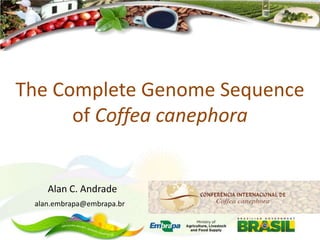 The Complete Genome Sequence
      of Coffea canephora


    Alan C. Andrade
 alan.embrapa@embrapa.br
 