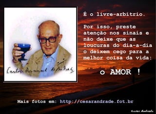 É o livre-arbítrio.  Por isso, preste atenção nos sinais e não deixe que as loucuras do dia-a-dia o deixem cego para a melhor coisa da vida:   o AMOR ! Mais fotos em:  http://cesarandrade.fot.br   