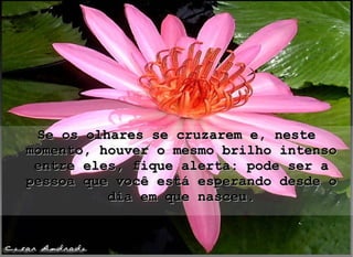Se os olhares se cruzarem e, neste momento, houver o mesmo brilho intenso entre eles, fique alerta: pode ser a pessoa que você está esperando desde o dia em que nasceu. 