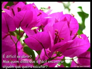 É difícil se abrir?   Mas quem disse que é fácil encontrar  alguém que queira escutar?   