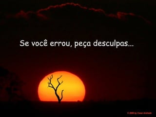 Se você errou, peça desculpas...   