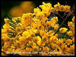Se alguém errou com você, perdoa-o...   