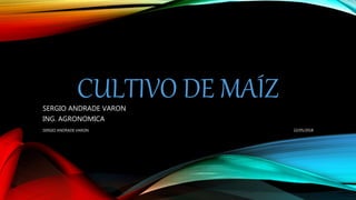 CULTIVO DE MAÍZSERGIO ANDRADE VARON
ING. AGRONOMICA
22/05/2018SERGIO ANDRADE VARON
 