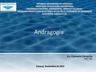 Lic. Consuelo Camacho
                                           MSDS. 16761




Caracas, Noviembre de 2012
 