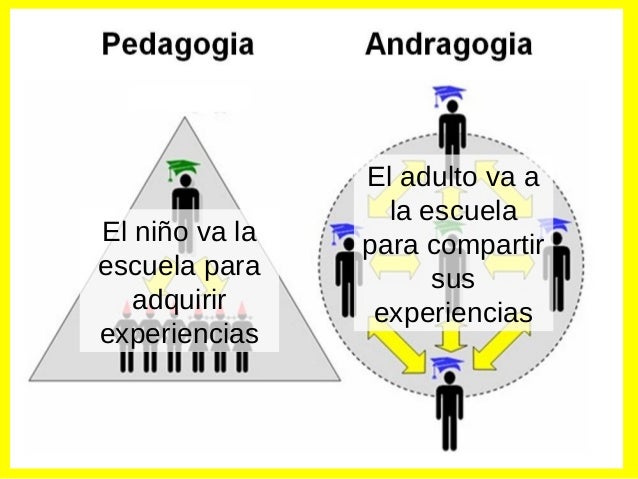 Image result for andragogia