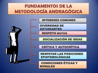 FUNDAMENTOS DE LA
METODOLOGÍA ANDRAGÓGICA
INTERESES COMUNES
DIVERSIDAD DE
ESTUDIANTES
RESPETO MUTUO
SOCIALIZACIÓN DE IDEAS
CRÍTICA Y AUTOCRÍTICA
RESPETAR LAS POSICIONES
EPISTEMOLÓGICAS
CONDICIONES ÉTICAS Y
MORALES

 