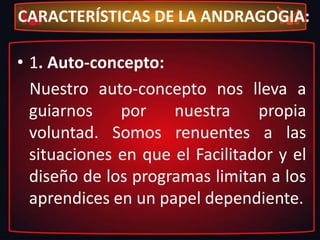 C- Flexibilidad:Es de entender, que los adultos, al poseer una carga educativa - formativa, llena de experiencias previas y cargas familiares o económicas, debe necesitar lapsos de aprendizaje acordes con sus aptitudes y destrezas.