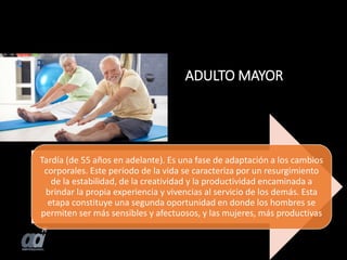 ADULTO MAYOR
Tardía (de 55 años en adelante). Es una fase de adaptación a los cambios
corporales. Este período de la vida se caracteriza por un resurgimiento
de la estabilidad, de la creatividad y la productividad encaminada a
brindar la propia experiencia y vivencias al servicio de los demás. Esta
etapa constituye una segunda oportunidad en donde los hombres se
permiten ser más sensibles y afectuosos, y las mujeres, más productivas
 