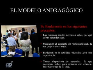 EL MODELO ANDRAGÓGICO
Se fundamenta en los siguientes
preceptos:
• Las personas adultas necesitan saber, por qué
deben aprender algo.
• Mantienen el concepto de responsabilidad, de
sus propias decisiones.
• Participan en la actividad educativa ,con más
experiencia.
• Tienen disposición de aprender, lo que
necesitan saber, para enfrentar con eficacia,
las situaciones de la vida.
 