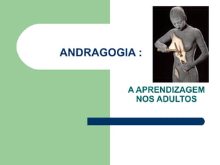ANDRAGOGIA :
A APRENDIZAGEM
NOS ADULTOS
 