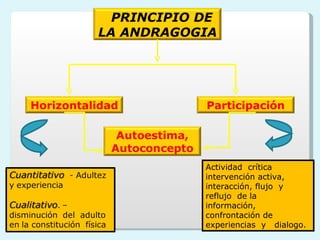 Actividad  crítica intervención activa, interacción, flujo  y  reflujo  de la  información, confrontación de  experiencias  y  dialogo.  PRINCIPIO DE LA ANDRAGOGIA Horizontalidad Participación 