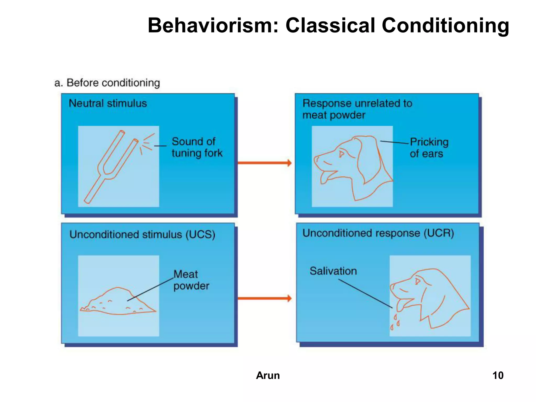 Behaviorism: Classical Conditioning
10Arun
 