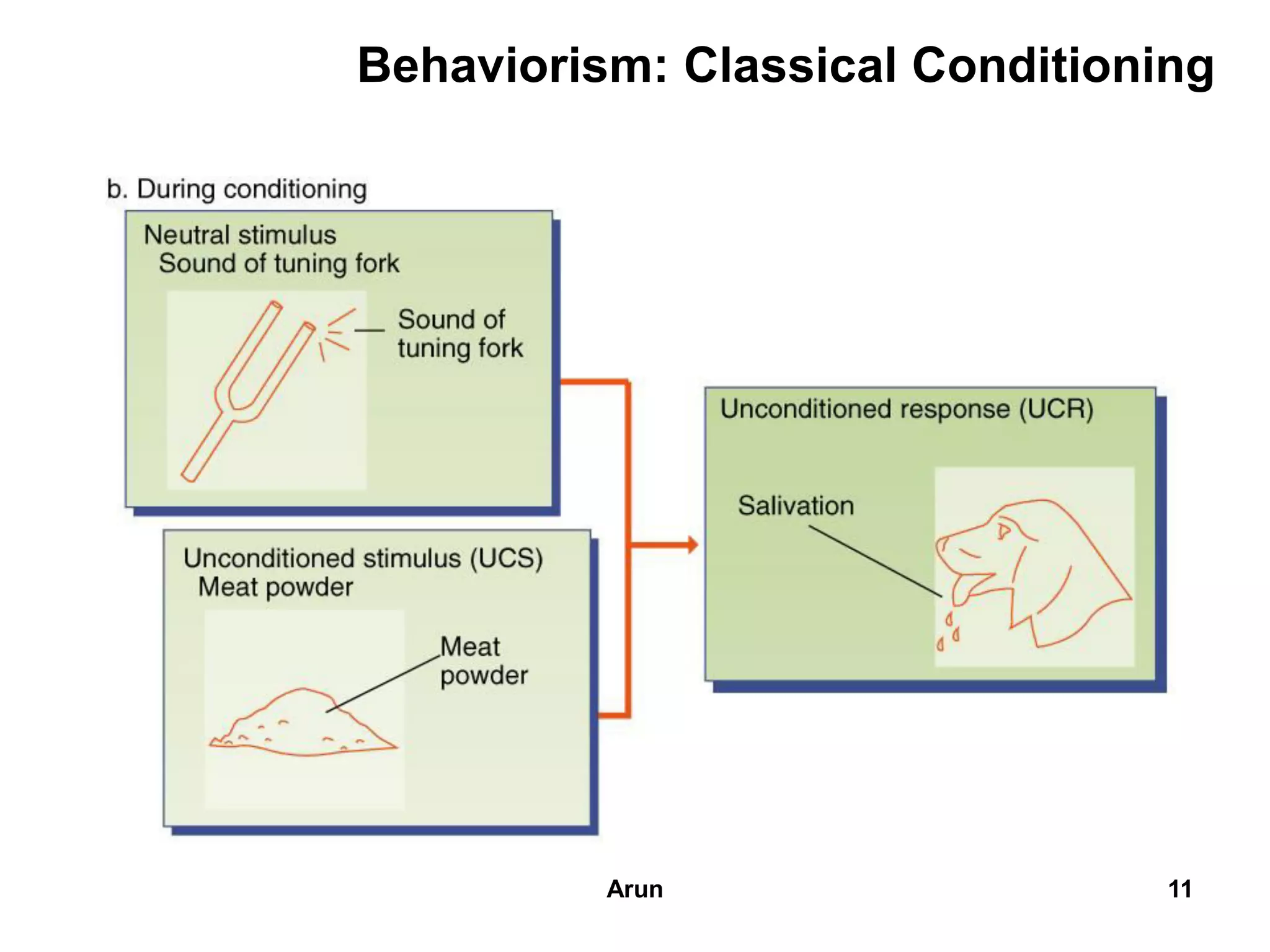 Behaviorism: Classical Conditioning
11Arun
 