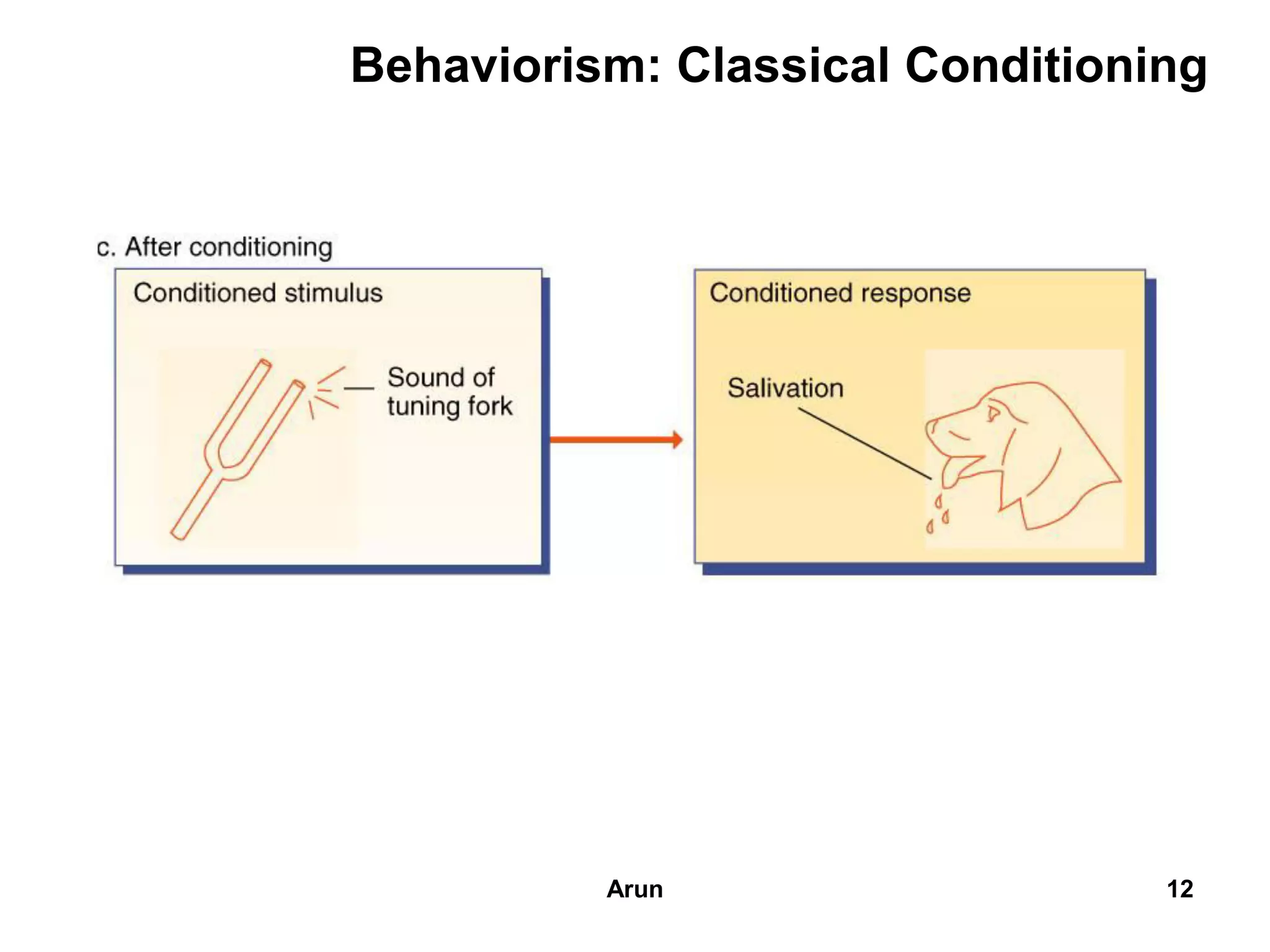 Behaviorism: Classical Conditioning
12Arun
 