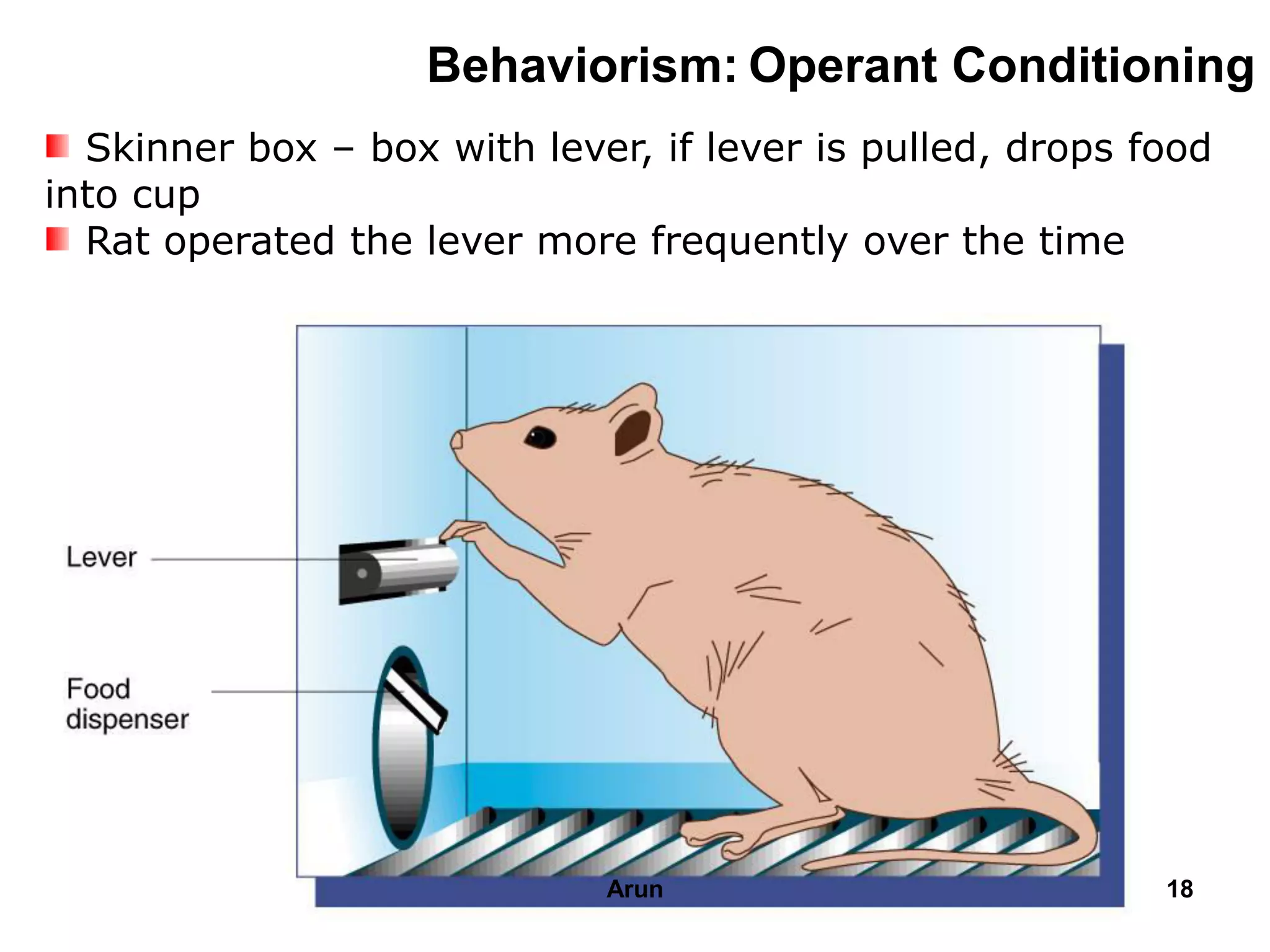 Behaviorism: Operant Conditioning
Skinner box – box with lever, if lever is pulled, drops food
into cup
Rat operated the lever more frequently over the time
18Arun
 