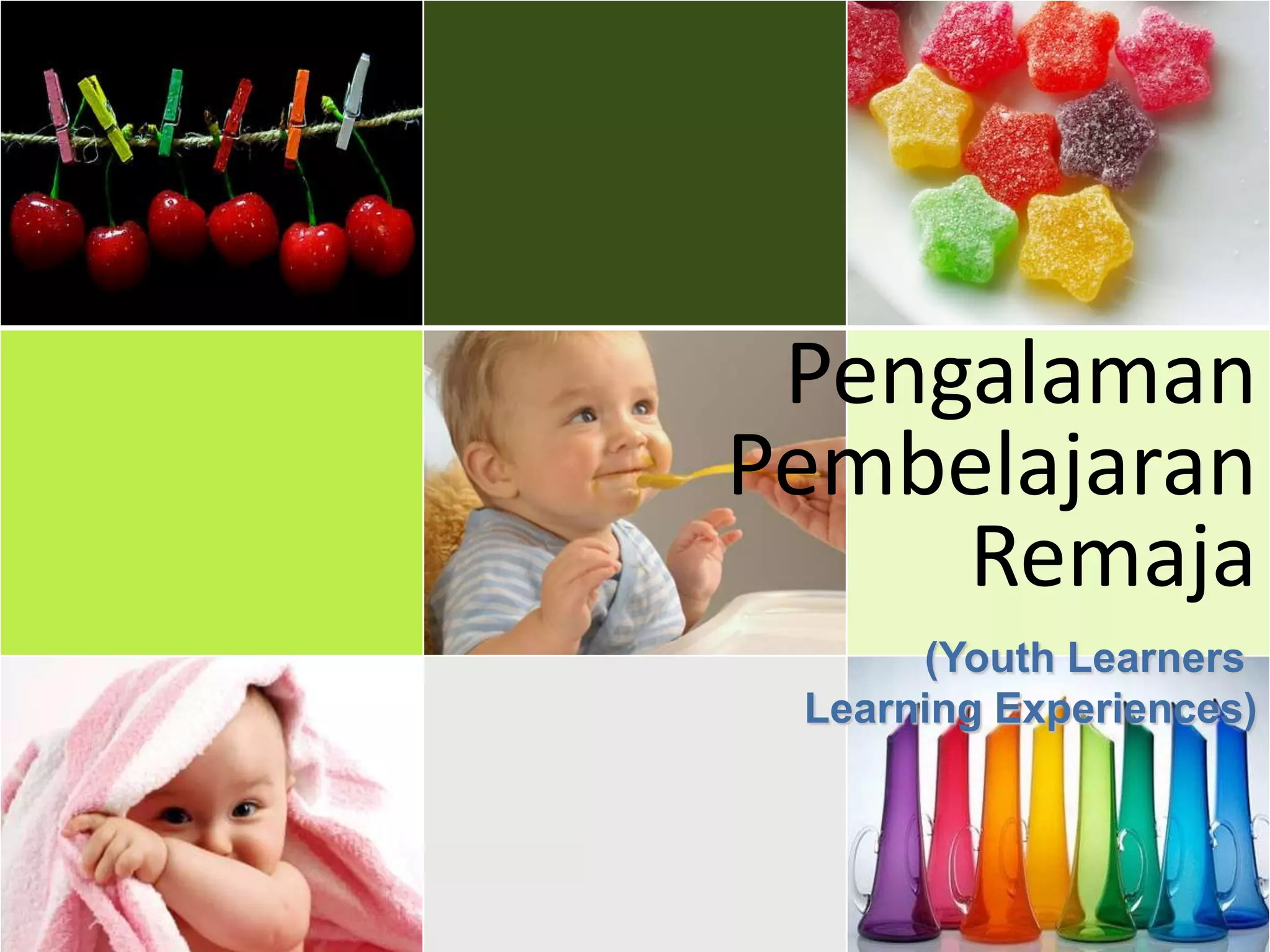 Pengalaman
Pembelajaran
     Remaja
      (Youth Learners
 Learning Experiences)
 