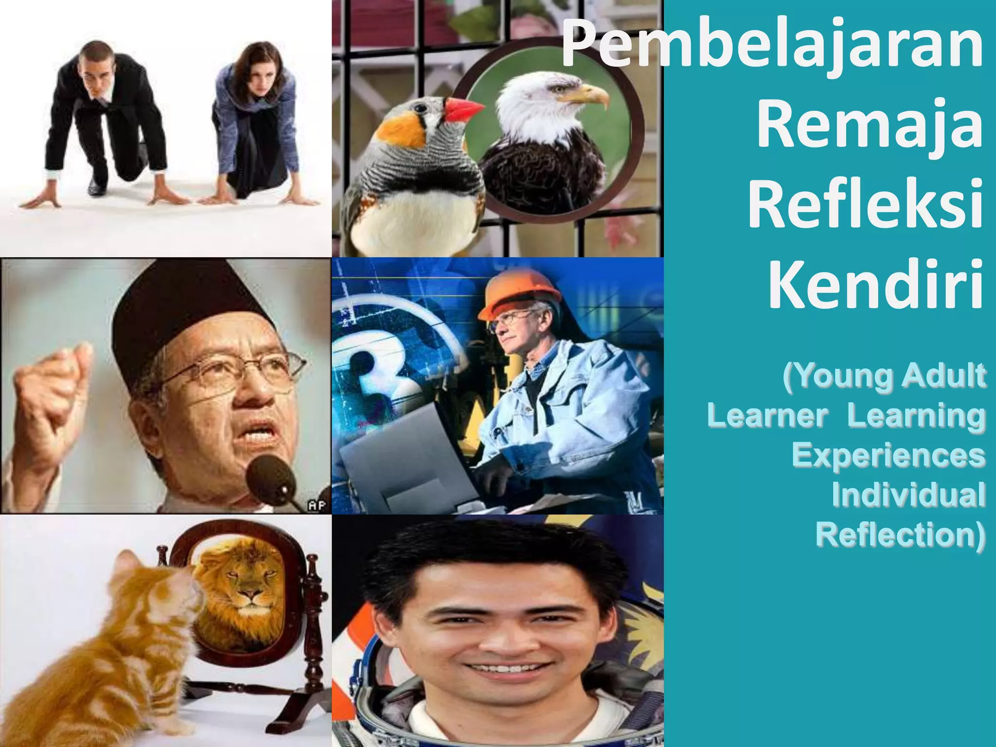 Pembelajaran
    Remaja
    Refleksi
     Kendiri
        (Young Adult
    Learner Learning
         Experiences
           Individual
          Reflection)
 