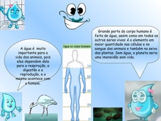 Grande parte do corpo humano é
                         feita de água, assim como em todos os
                         outros seres vivos: é o elemento em
                         maior quantidade nas células e no
   A água é muito        sangue dos animais e também na seiva
  importante para a      das plantas. Sem água, o planeta seria
vida dos animais, pois   uma imensidão sem vida.
 eles dependem dela
 para a respiração, a
     digestão e a
   reprodução, e o
mesmo acontece com
      o homem.
 