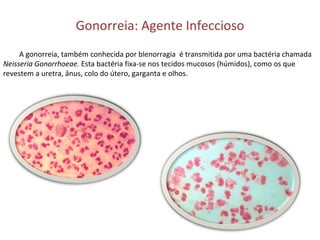 Gonorreia: Agente Infeccioso A gonorreia, também conhecida por blenorragia  é transmitida por uma bactéria chamada  Neisseria Gonorrhoeae.  Esta bactéria fixa-se nos tecidos mucosos (húmidos), como os que revestem a uretra, ânus, colo do útero, garganta e olhos. 