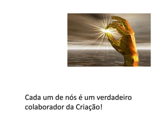 Cada um de nós é um verdadeiro
colaborador da Criação!
 
