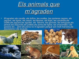 Els animals que
                     m’agraden
   M’agraden els cavalls, els dofins, les ovelles, las panteres negres, els
    jaguars, els tigres, els ossos, les lleones, els llops, les carolines,els
    ocells,els jaguars,les àguiles, els falcons, les gavines, les tortugues,els
    peixos,les esquirols,els pollets,els ponis,els tigres, les anacondes i els
    gossos etc... però els porcs no m’agraden perquè són molt marrans,els
    escorpions i els xiuauas.
 