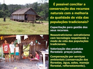 Exploração Florestal e Sustentabilidade - Andrea Alechandre