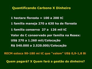 Exploração Florestal e Sustentabilidade - Andrea Alechandre
