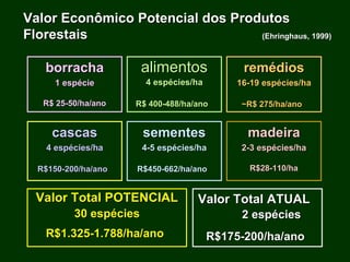 Exploração Florestal e Sustentabilidade - Andrea Alechandre