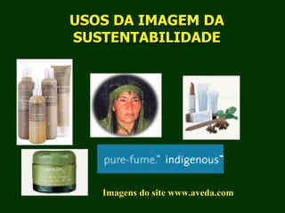 Exploração Florestal e Sustentabilidade - Andrea Alechandre