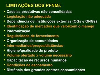 Exploração Florestal e Sustentabilidade - Andrea Alechandre