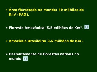 Exploração Florestal e Sustentabilidade - Andrea Alechandre