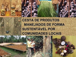 Exploração Florestal e Sustentabilidade - Andrea Alechandre