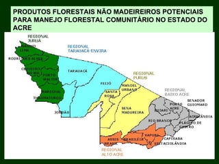 Exploração Florestal e Sustentabilidade - Andrea Alechandre