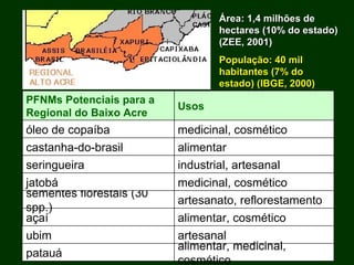 Exploração Florestal e Sustentabilidade - Andrea Alechandre