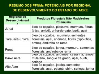 Exploração Florestal e Sustentabilidade - Andrea Alechandre