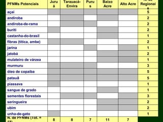 Exploração Florestal e Sustentabilidade - Andrea Alechandre