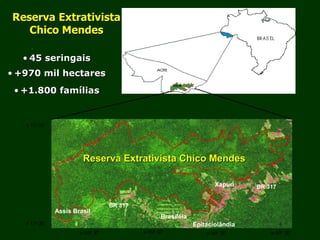 Exploração Florestal e Sustentabilidade - Andrea Alechandre