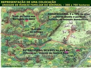 Exploração Florestal e Sustentabilidade - Andrea Alechandre