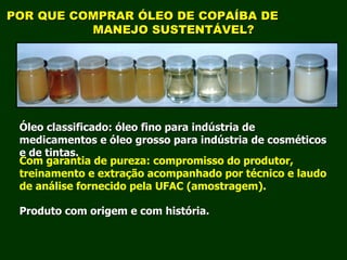 Exploração Florestal e Sustentabilidade - Andrea Alechandre