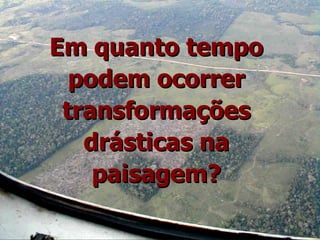 Exploração Florestal e Sustentabilidade - Andrea Alechandre
