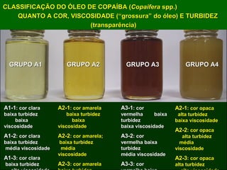 Exploração Florestal e Sustentabilidade - Andrea Alechandre