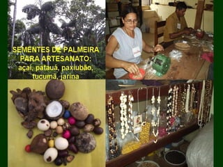 Exploração Florestal e Sustentabilidade - Andrea Alechandre