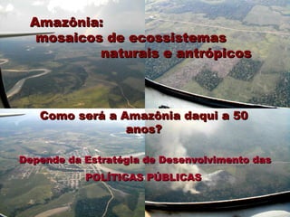 Exploração Florestal e Sustentabilidade - Andrea Alechandre