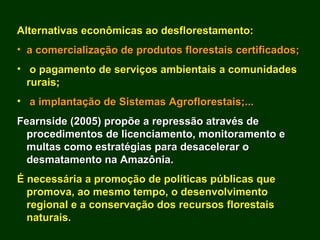 Exploração Florestal e Sustentabilidade - Andrea Alechandre