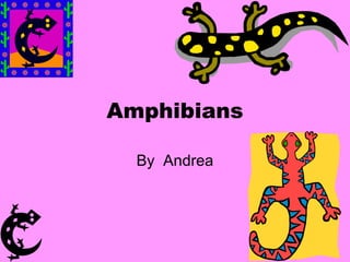 Amphibians
By Andrea
 