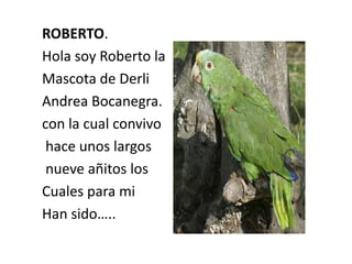 ROBERTO. Hola soy Roberto la  Mascota de Derli  Andrea Bocanegra. con la cual convivo  hace unos largos  nueve añitos los Cuales para mi Han sido….. 