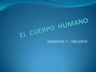 EL  CUERPO  HUMANO APARATOS  Y   ORGANOS 
