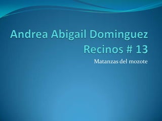 Andrea Abigail Dominguez Recinos # 13 Matanzas del mozote  